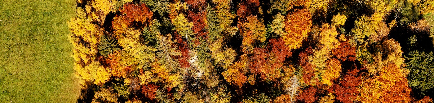 Foto: Matak Studios – diese Aufnahme ist vergangenen Herbst im Montafon entstanden.