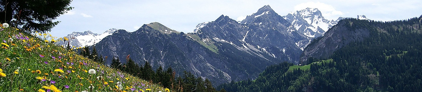 © Friedrich Böhringer