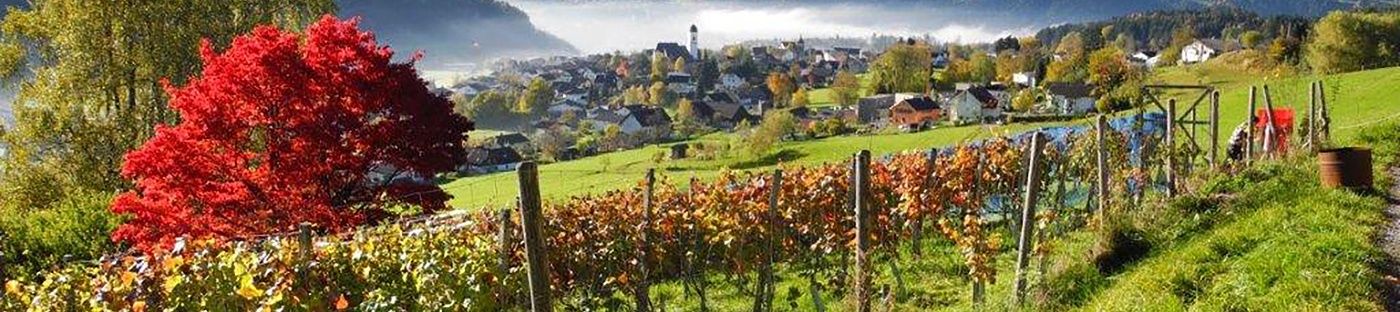 Das Weingut Chesa Druschauna von Nebenerwerbswinzer Gert Markowski in Göfis