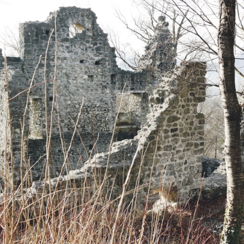 © Alois Niederstätter