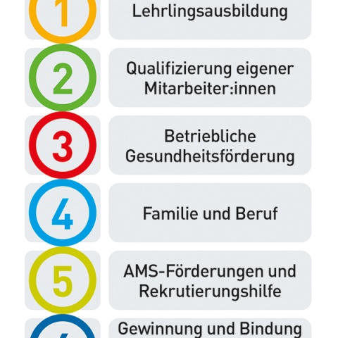 Die sechs wichtigsten Säulen der Fachkräftestrategie