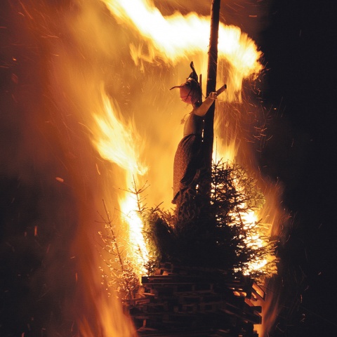 © Friedrich Böhringer