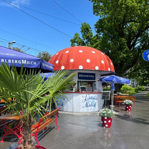 Nach wie vor dreht sich beim Milchpilz alles um die Milch. Neben Milch- und Joghurtgetränken gibt es Klassiker wie den Eiersemmel. © Foto: Tamara Faber