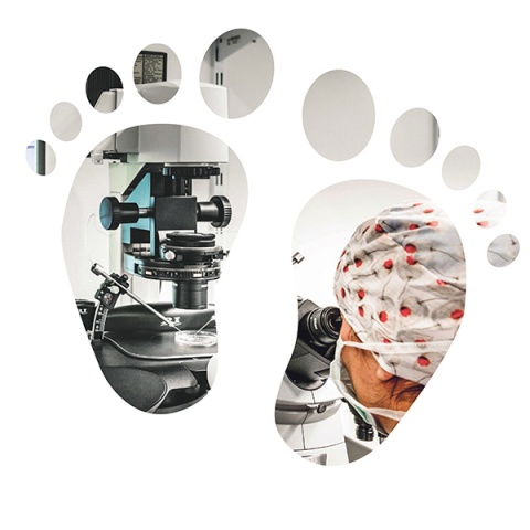 ICSI-Methode: Mithilfe einer Glaspipette wird eine Samenzelle in das Zytoplasma der Eizelle eingebracht. © Karin Nussbaumer