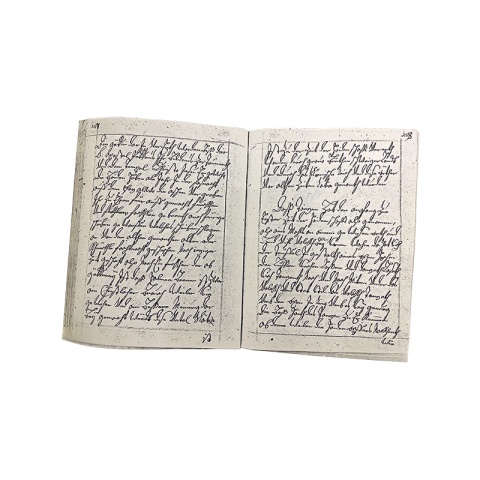 Rotgerber Johannes Häusle geht in seiner „Rankweiler Chronik“ näher auf das Funkenbrauchtum ein. © Foto: Landesarchiv