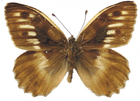 Fotos: istockphoto, wikipedia, beigestellt