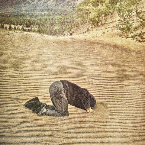 Fotos: istockphoto, beigestellt