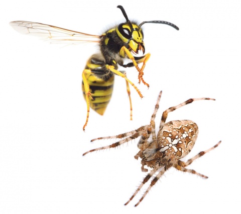 Fotos: istockphoto, Beigestellt