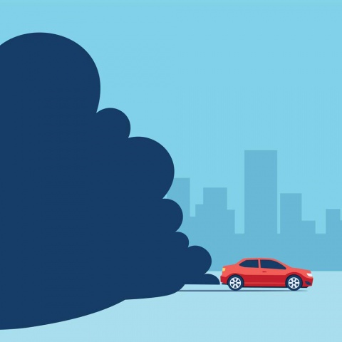 Fotos: istockphoto, Matthias Rhomberg