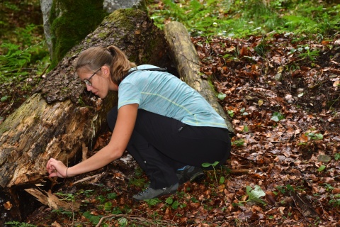 Vom 1. bis 4. September 2022 ging das erste inatura Forschercamp in der Kernzone des Biosphärenparks „Großes Walsertal“ – im Gadental – über die Bühne.