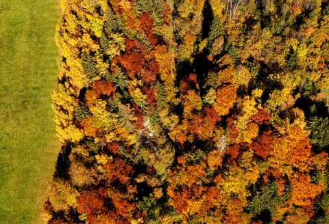 @ Foto: Matak Studios