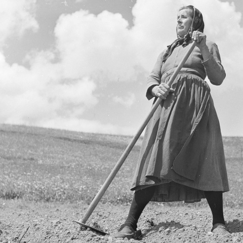 Fotos: Franz Beer/Stadtarchiv Dornbirn/ Vorarlberger Landesbibliothek, beigestellt