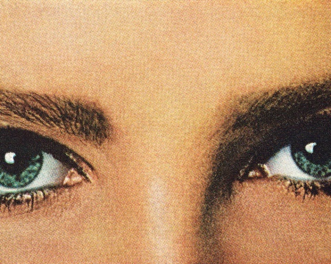 Fotos: istockphoto, beigestellt