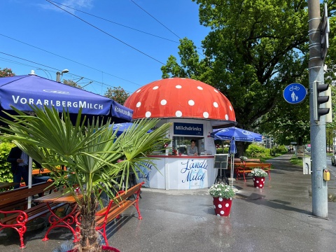 Nach wie vor dreht sich beim Milchpilz alles um die Milch. Neben Milch- und Joghurtgetränken gibt es Klassiker wie den Eiersemmel. © Foto: Tamara Faber