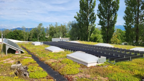 Dachbegrünung mit Photovoltaik-Modulen © AmanndieDachmarke