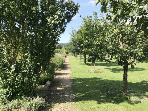 Foto: Roland Gnaiger