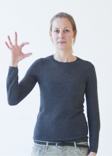 WC: Mit dem kleinen Finger, Ring- und Mittelfinger wird ein „W“ dargestellt, mit Zeigefinger und Daumen ein „C“. Früher und vereinzelt auch heute wird unter gehörlosen Menschen aus Diskretionsgründen auch die Gebärde fürs Telefonieren verwendet. 