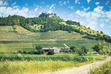 Beate und Georg vom Weingut Vollmayer und ihre drei Töchter zaubern am Südwesthang der Festung Hohentwiel von Deutschlands höchsten Lagen aus – bis 560 Meter – tolle Weine in Fässern und Flaschen. Müller-Thurgau, Riesling, Chardonnay und Burgunder etwa, die bei der Austrian Wine Challenge Vienna schon mehrere Medaillen geholt haben.